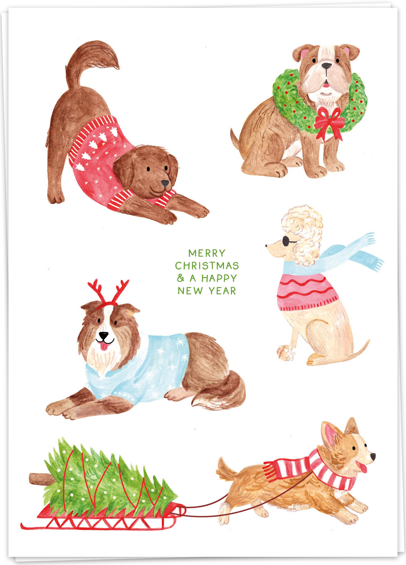 KB-SJ14 - kaart blanche wenskaart - doggy christmas - single